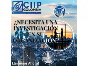 Investigaciones Empresariales - CIIP
