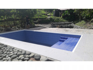 Diseñamos piscinas ( material: concreto) cotiza 