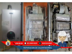 Reparacion y Mantenimiento de Calentadores Clasic 32194...