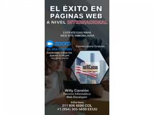 EL ÉXITO EN PÁGINAS WEB A NIVEL INTERNACIONAL
