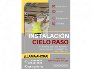 instalación y reparación de cielo raso o techos